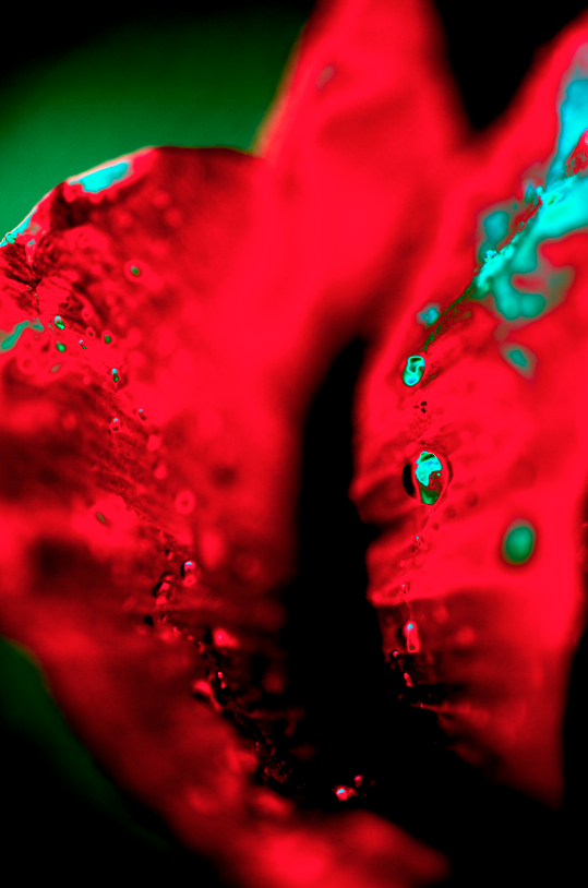 Comment image