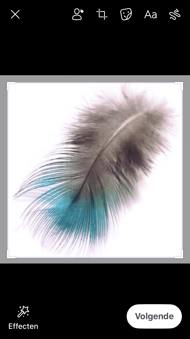 Comment image