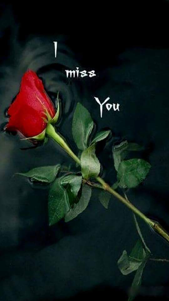 Comment image