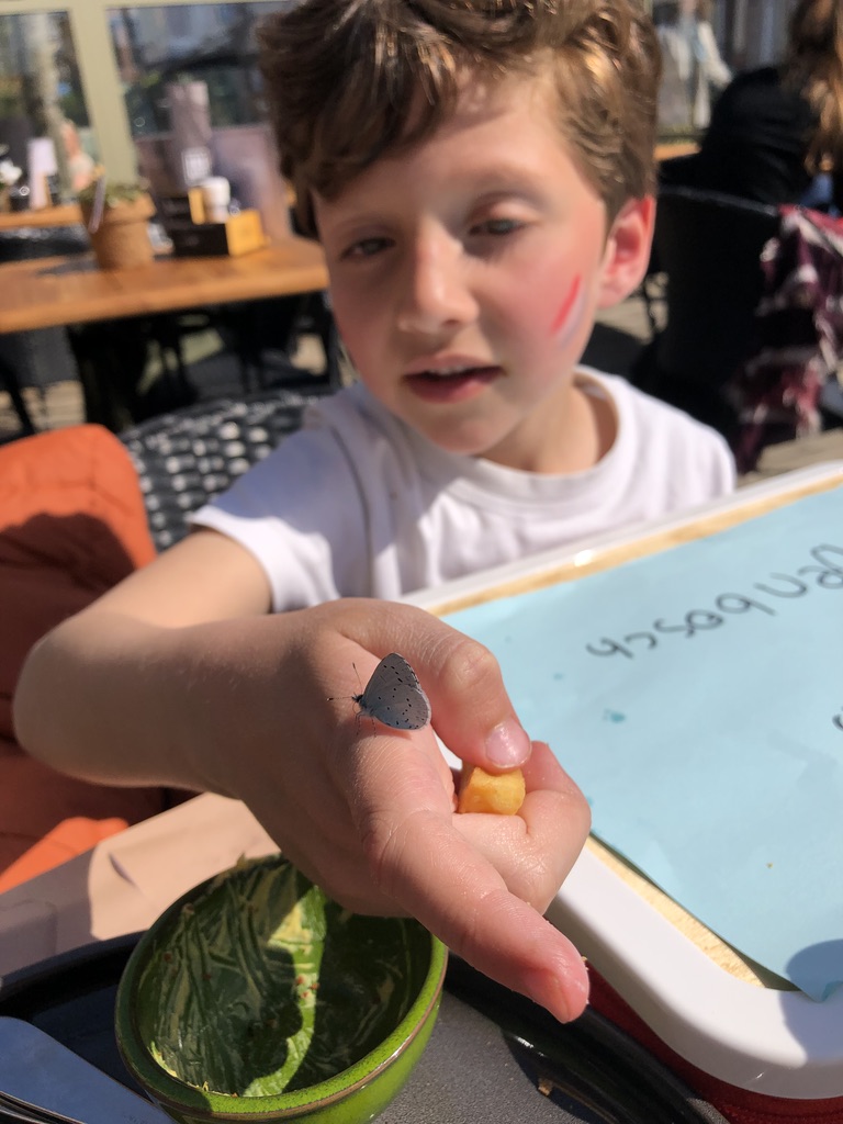 Julian Venturi