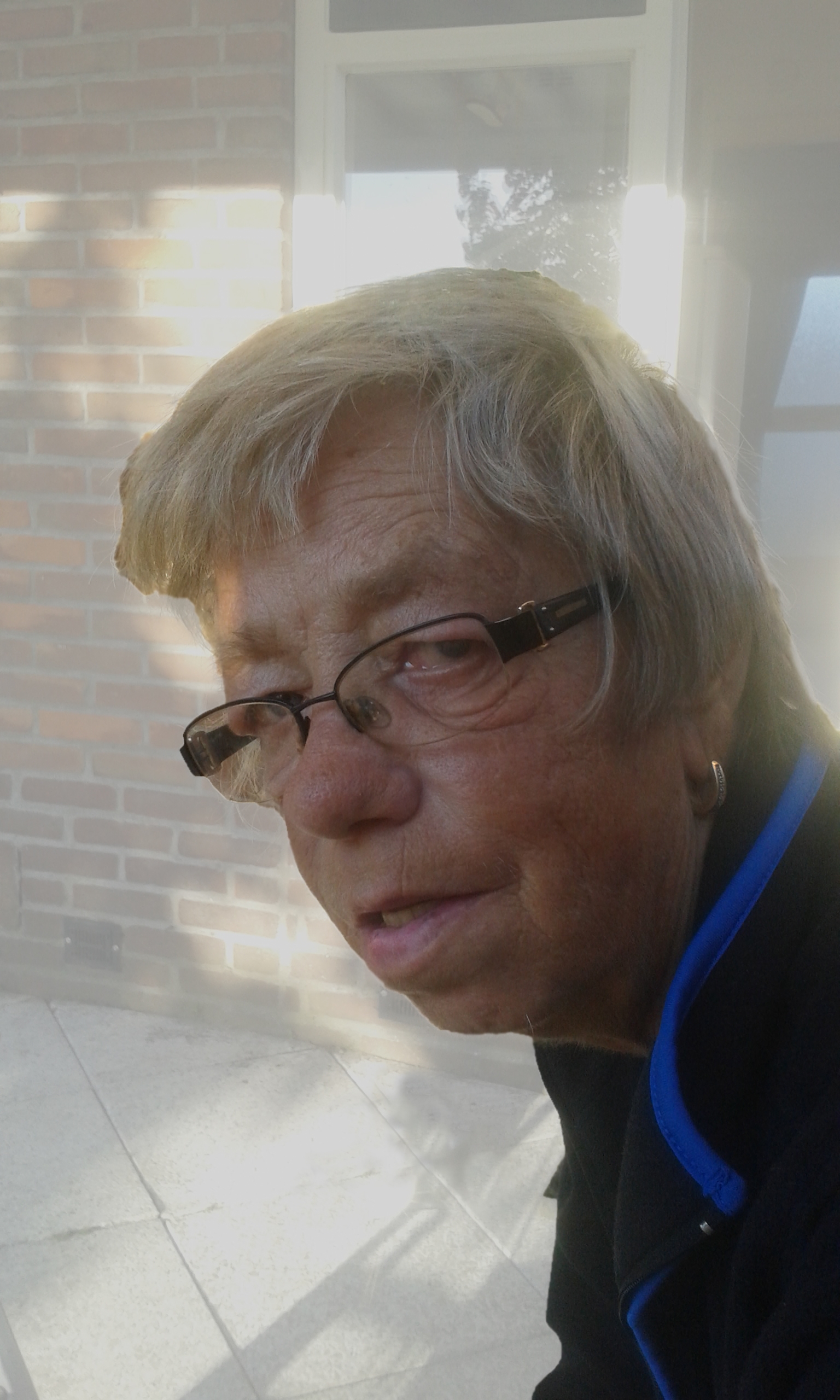 Thea van Stijn - Pfaff
