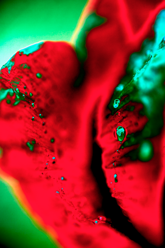Comment image
