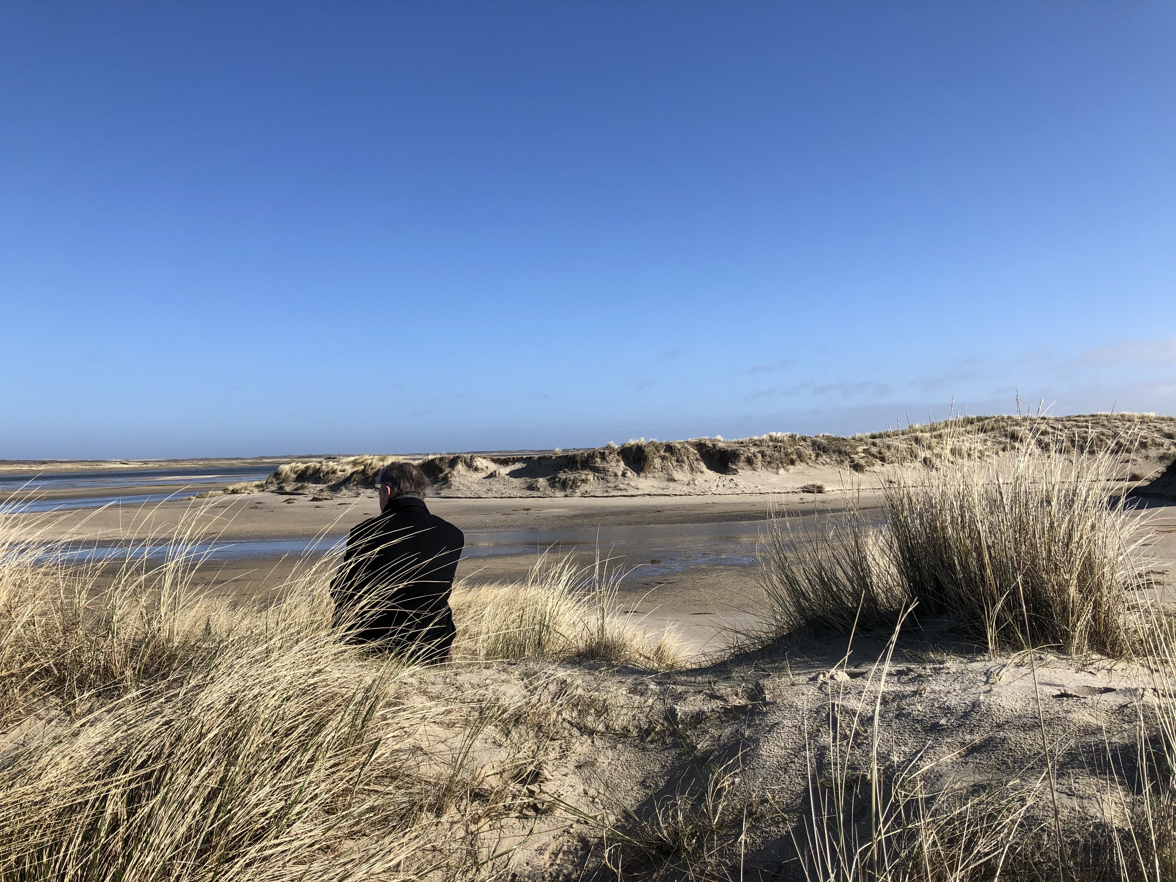 Wout Hoogland