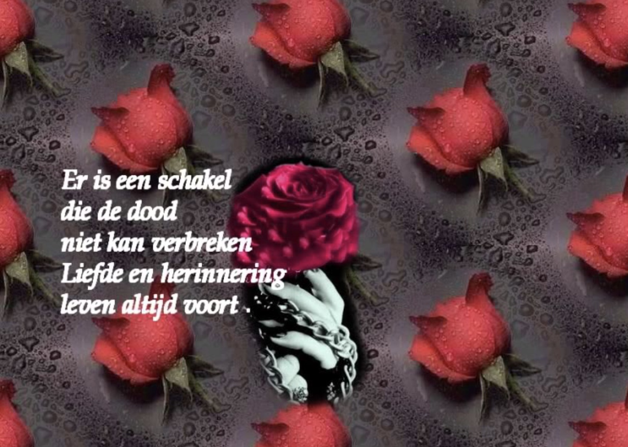 Comment image