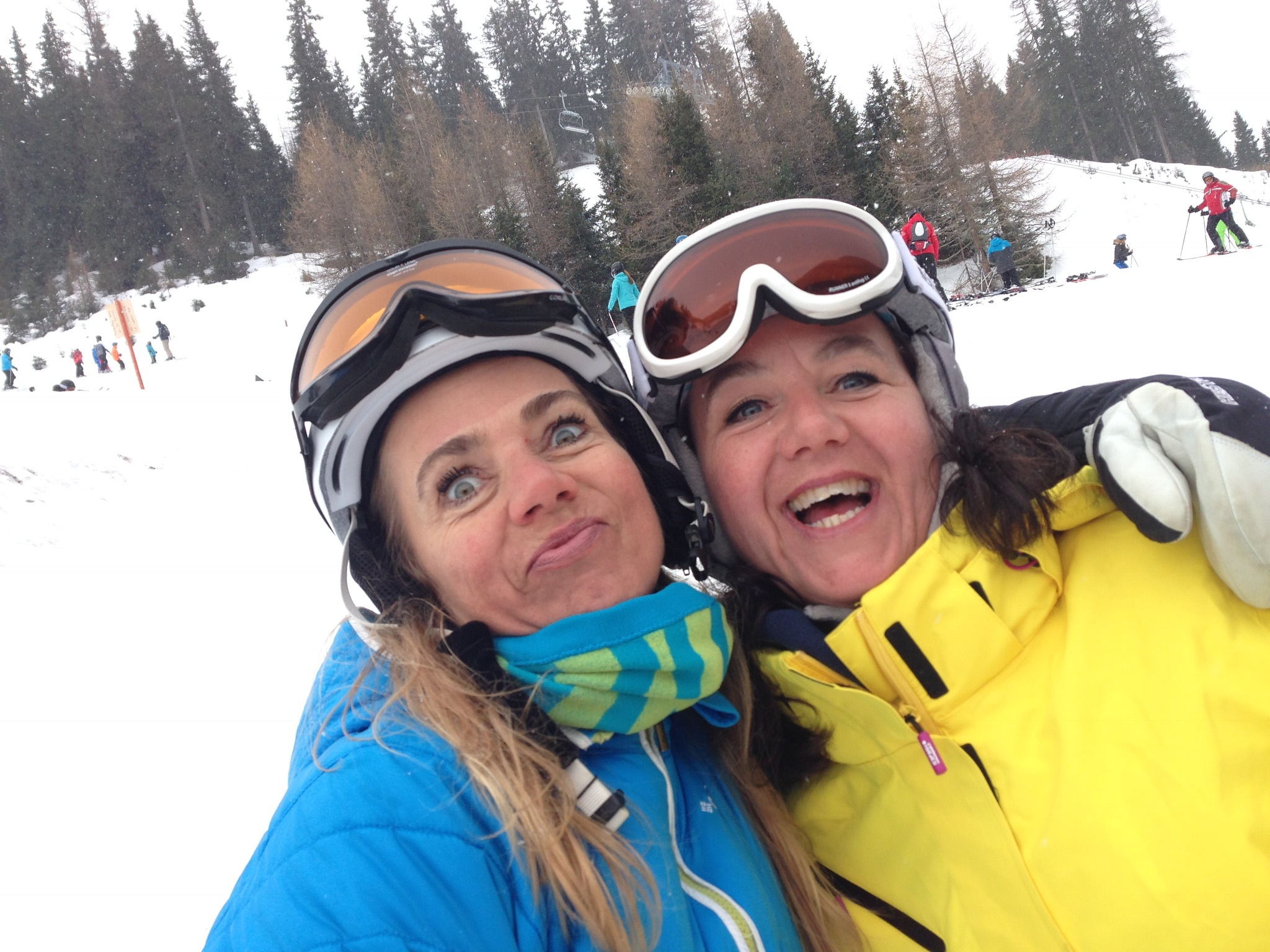 Comment image