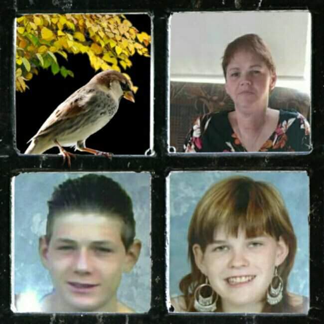 Comment image