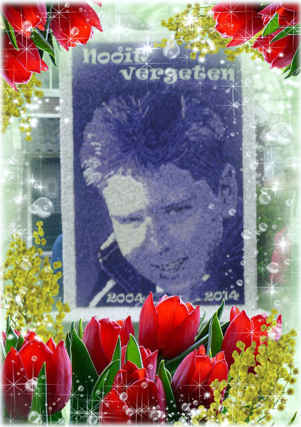 Comment image