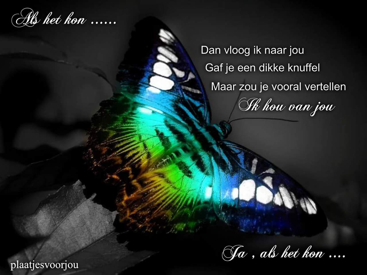 Comment image