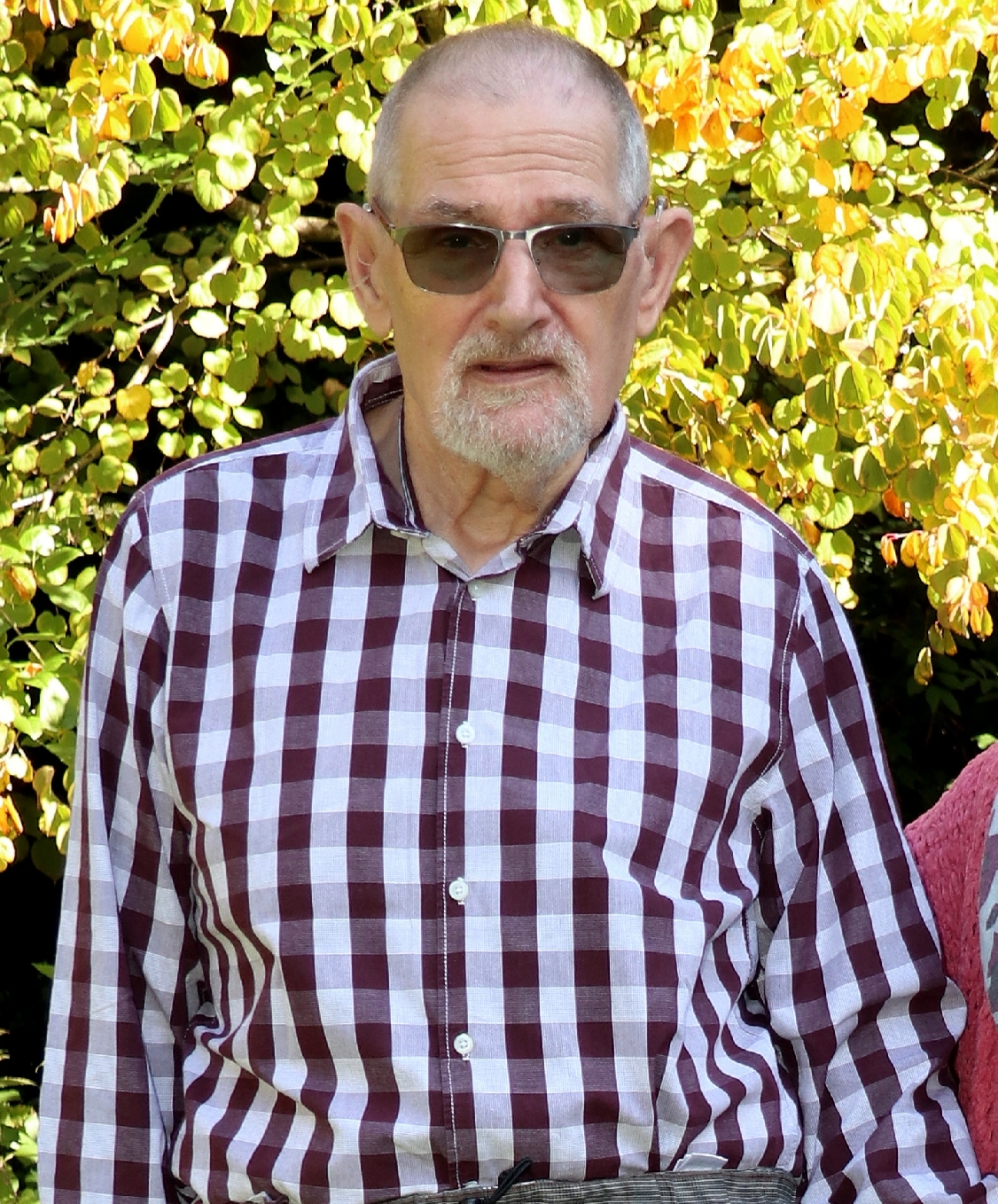 Hans Sandifort (SR)