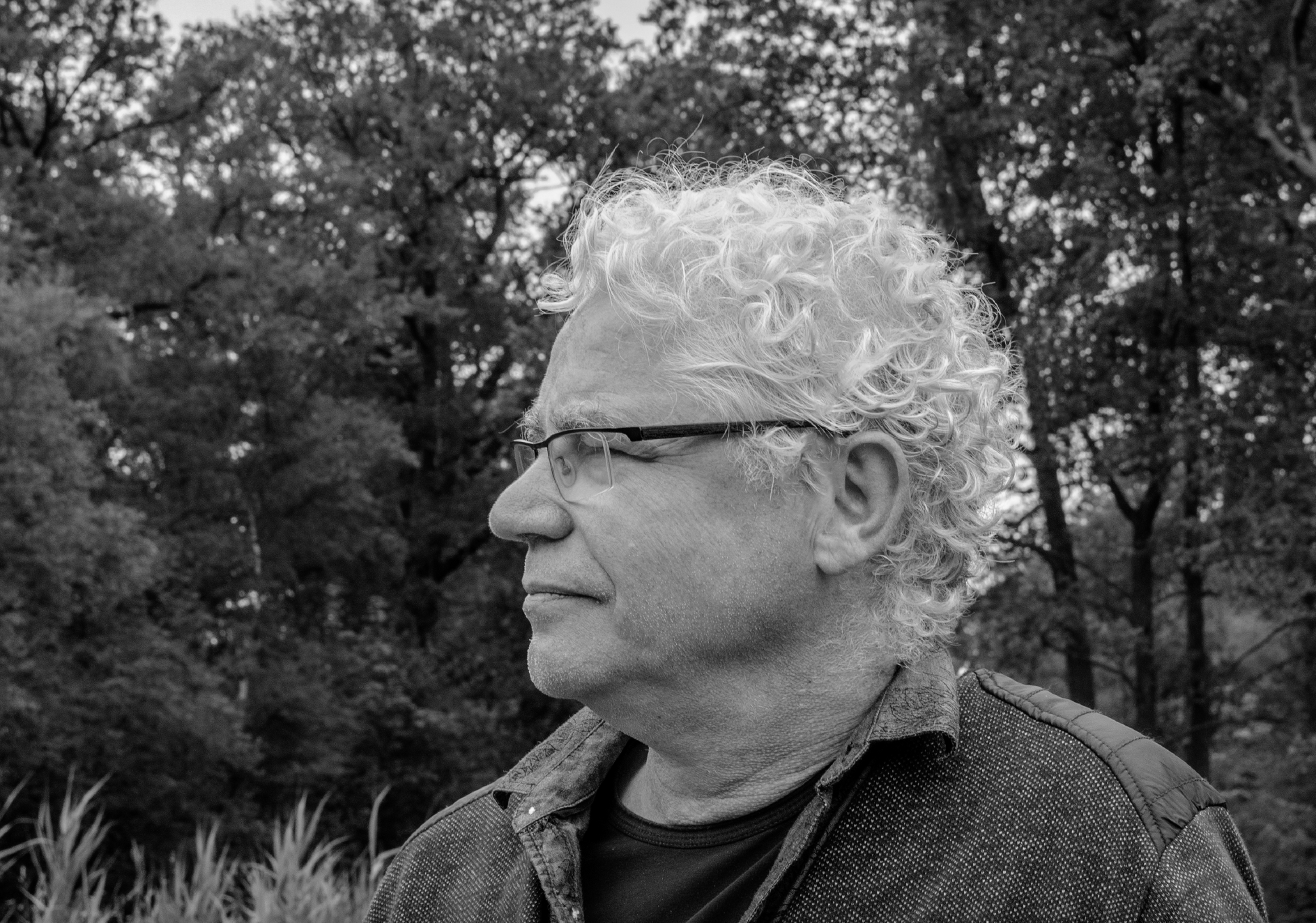 Kees Vos