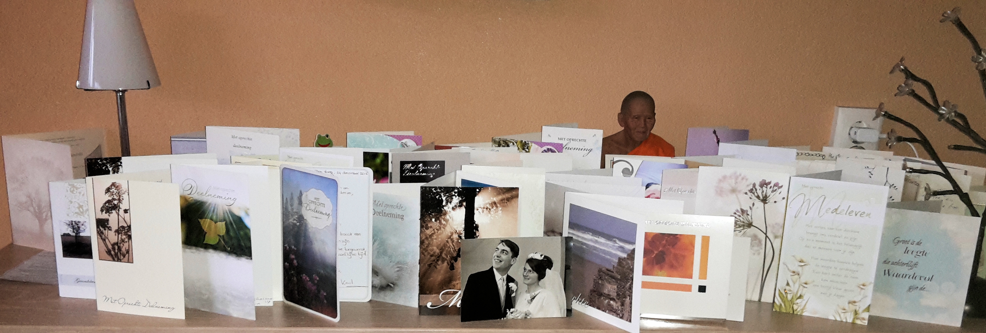 Gallery foto