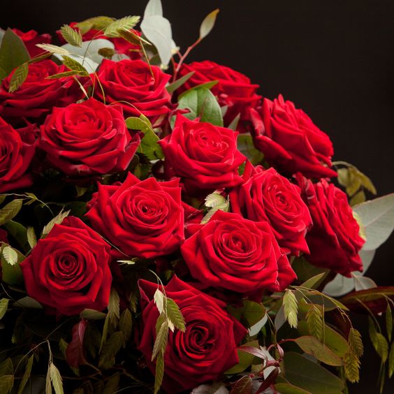 Ruud College
