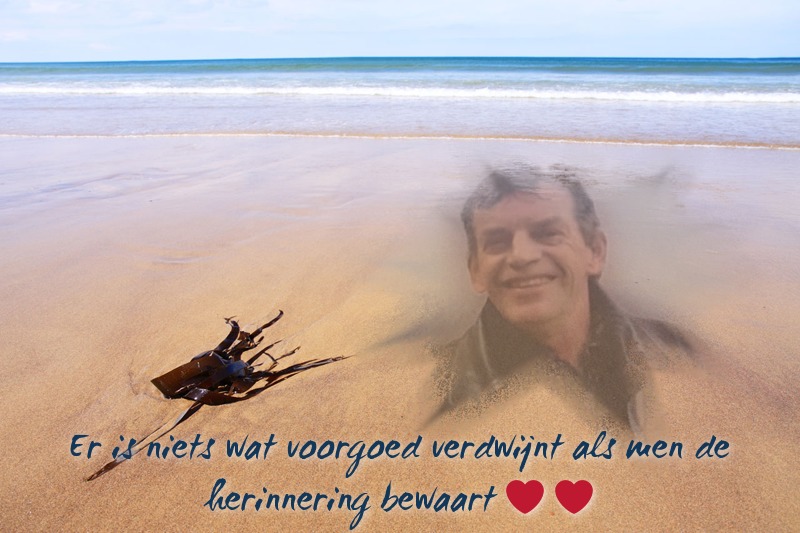 Comment image