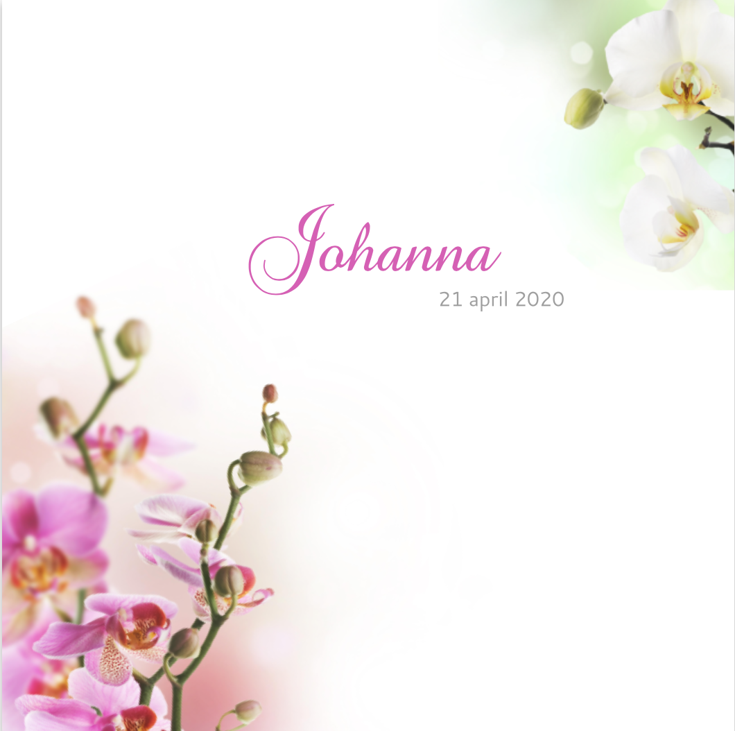 Johanna Georgette Hoepel