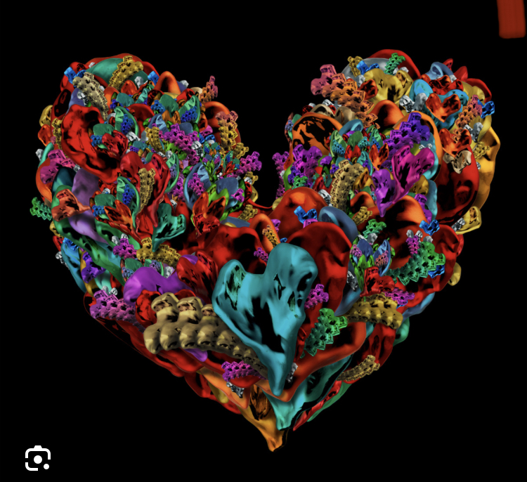 Comment image