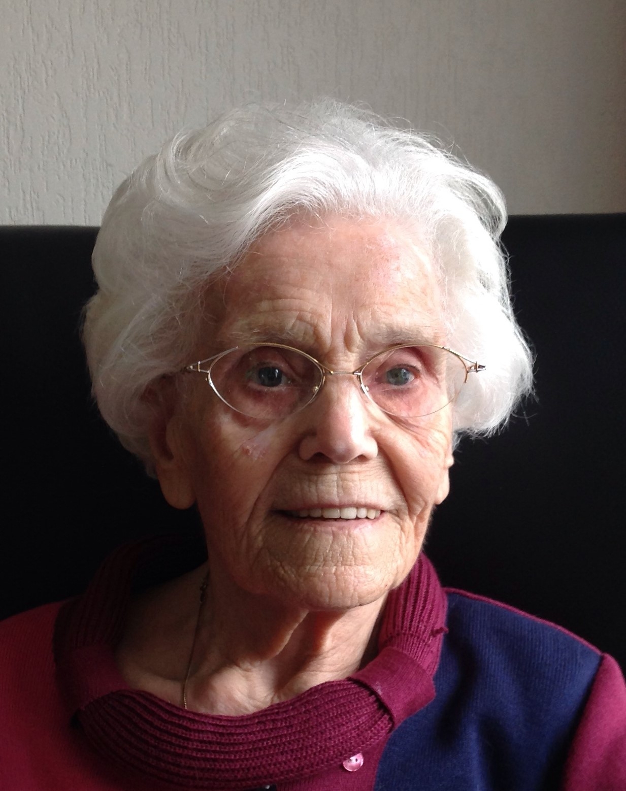 Dieuwertje de Vries