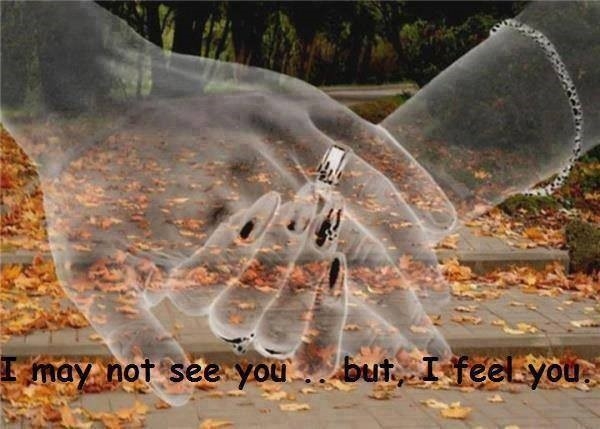 Comment image