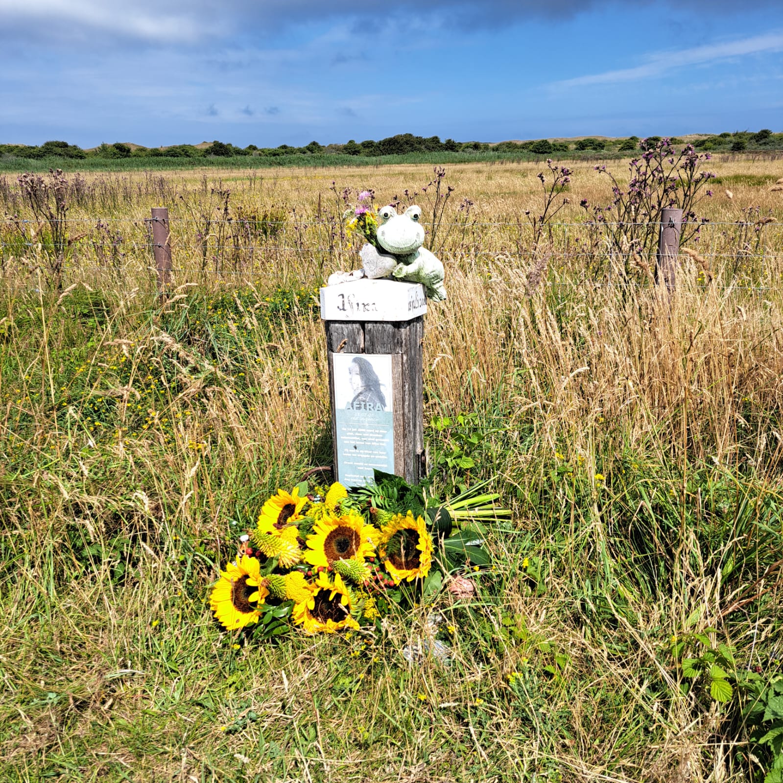 Comment image