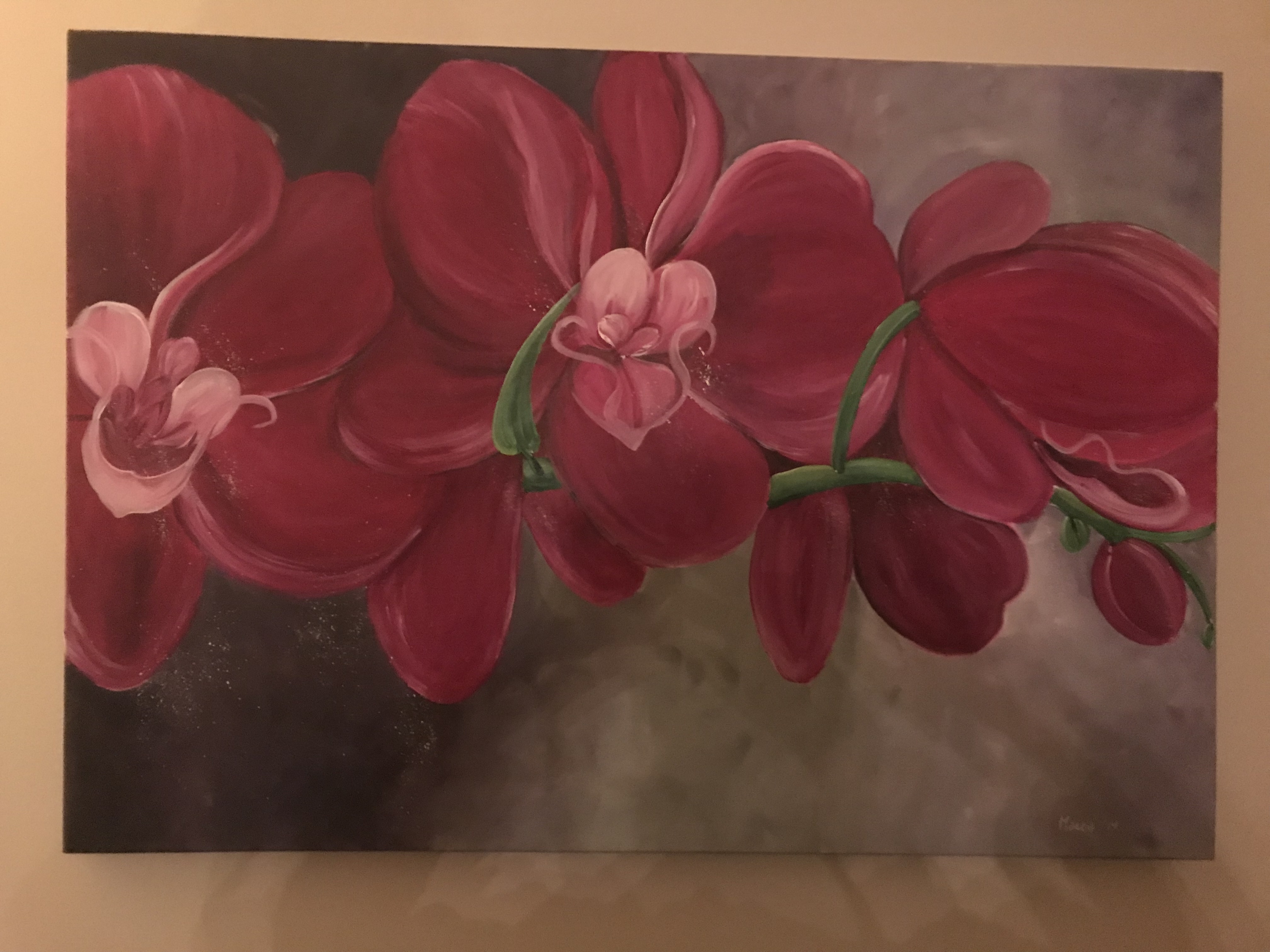 Gallery foto