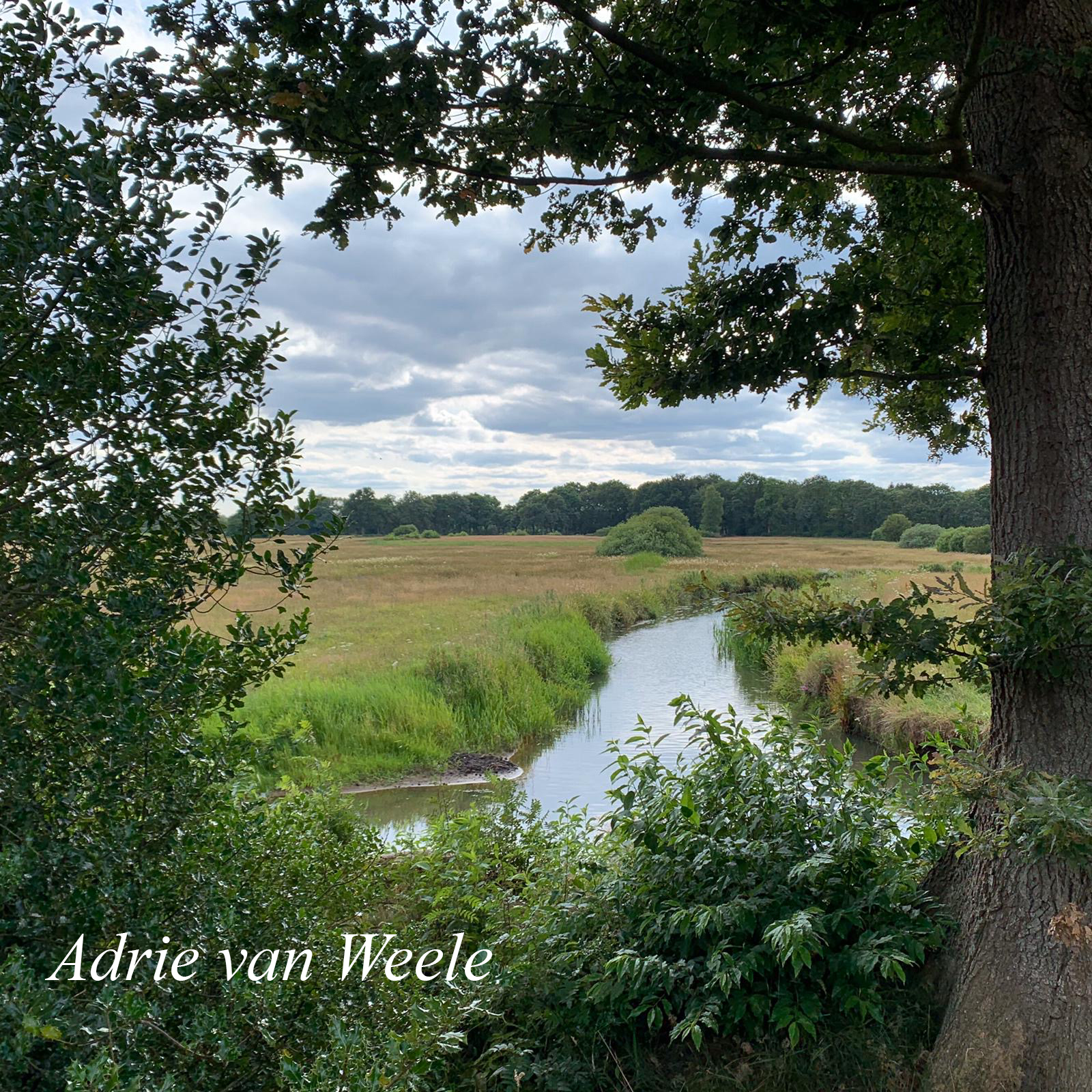 Adrie van Weele