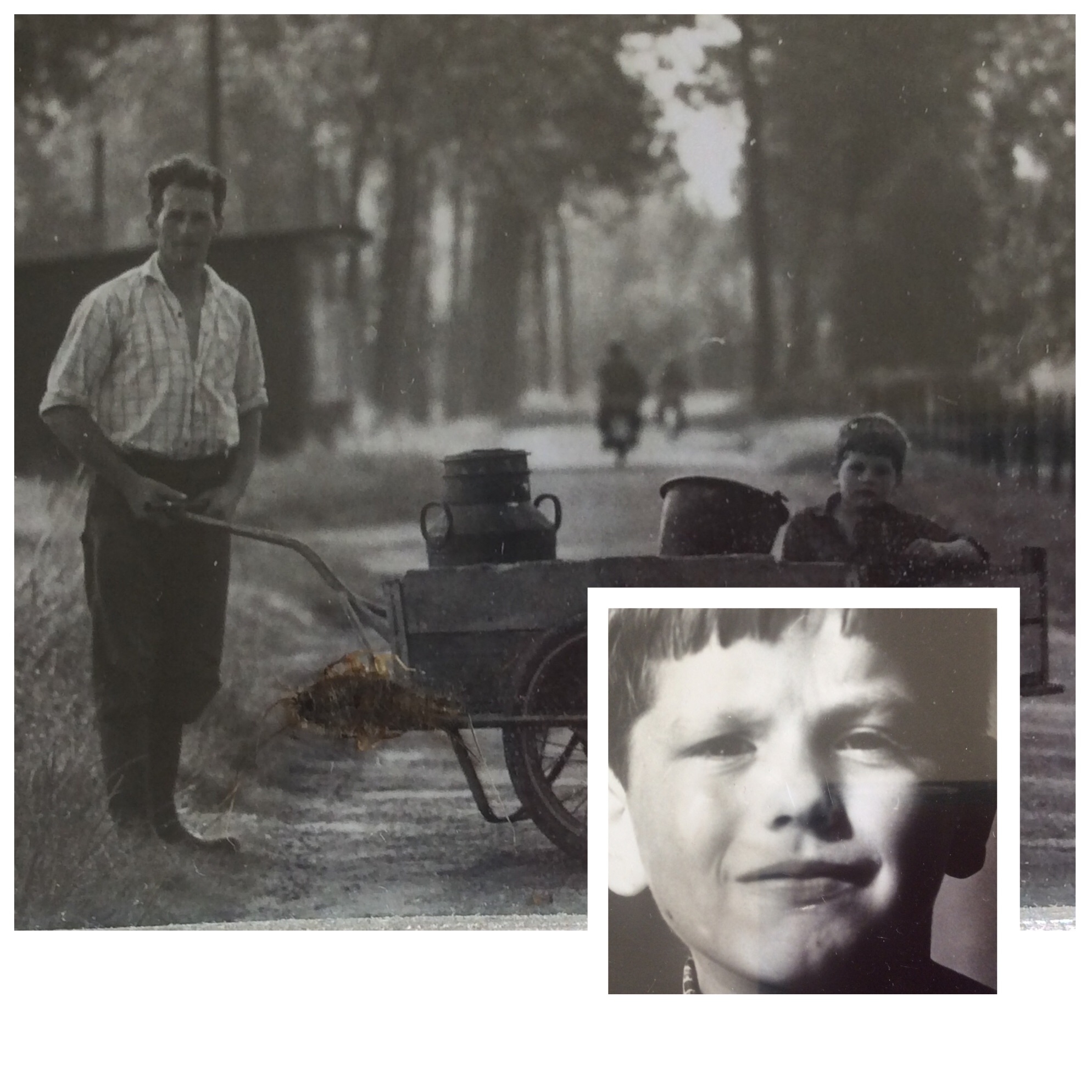 Comment image