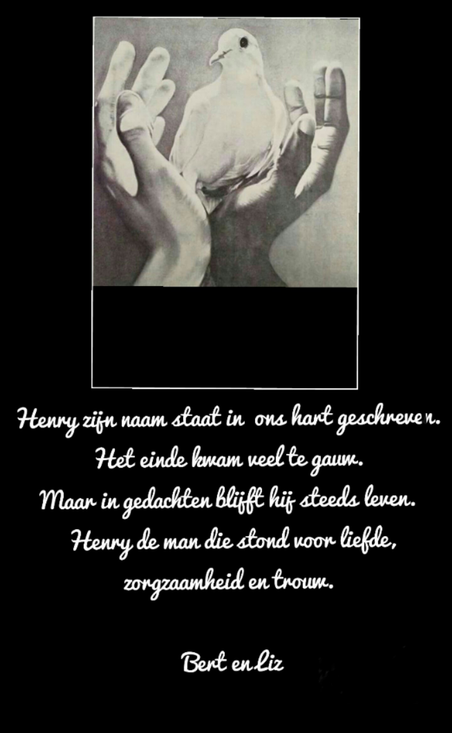 Comment image