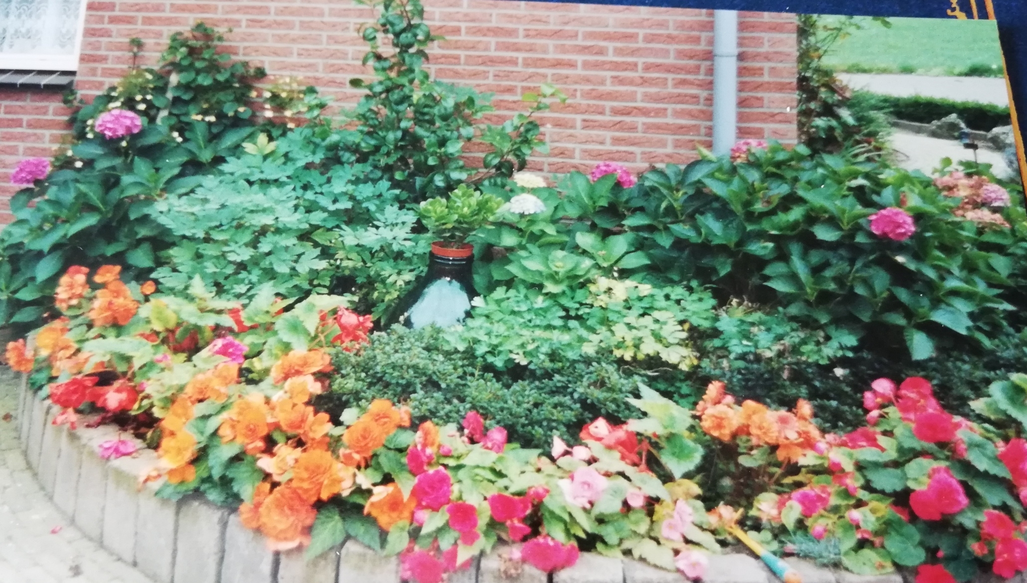 Gallery foto