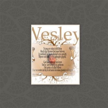 Wesley Dost
