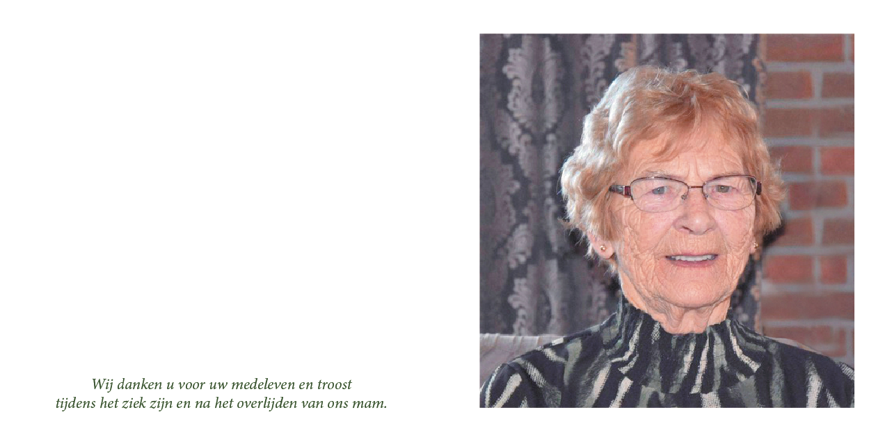 Stien Mettler