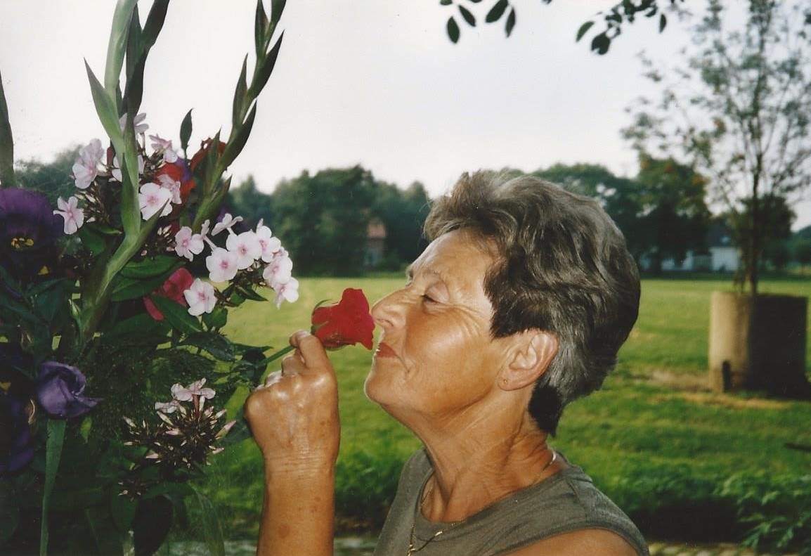 To van den Broek-Willems