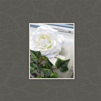 Gallery foto