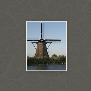 Gallery foto