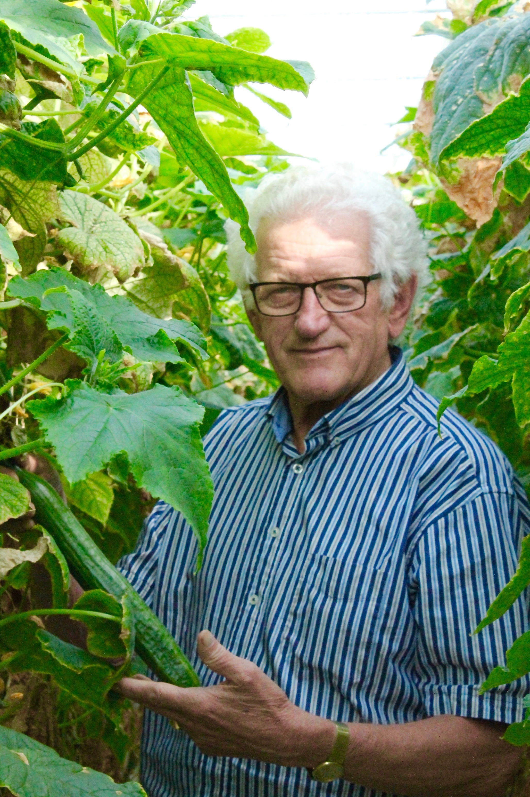 Henk van der Spek