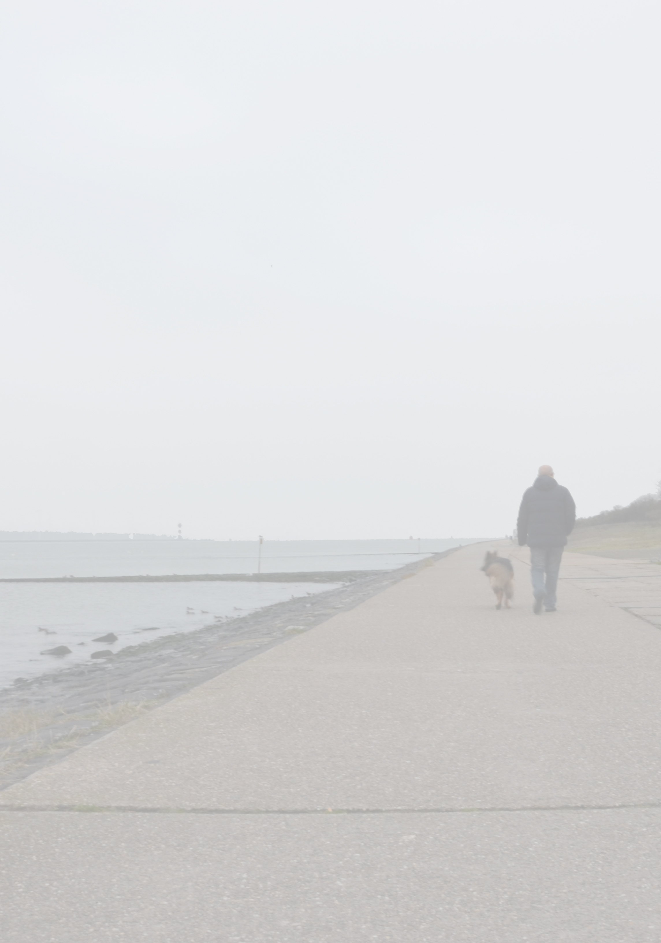 Rob Zoutendijk