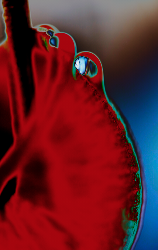 Comment image