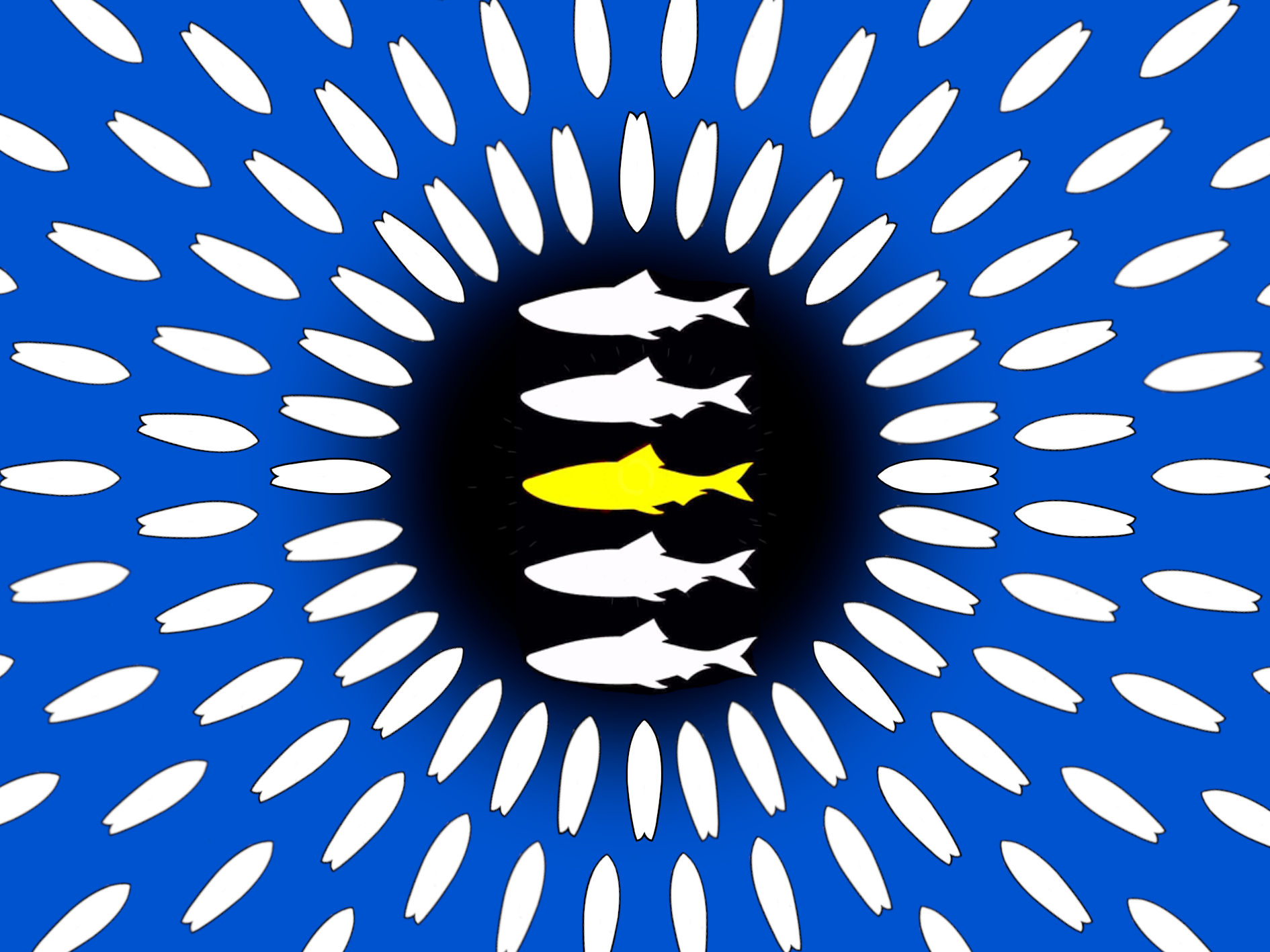 Comment image