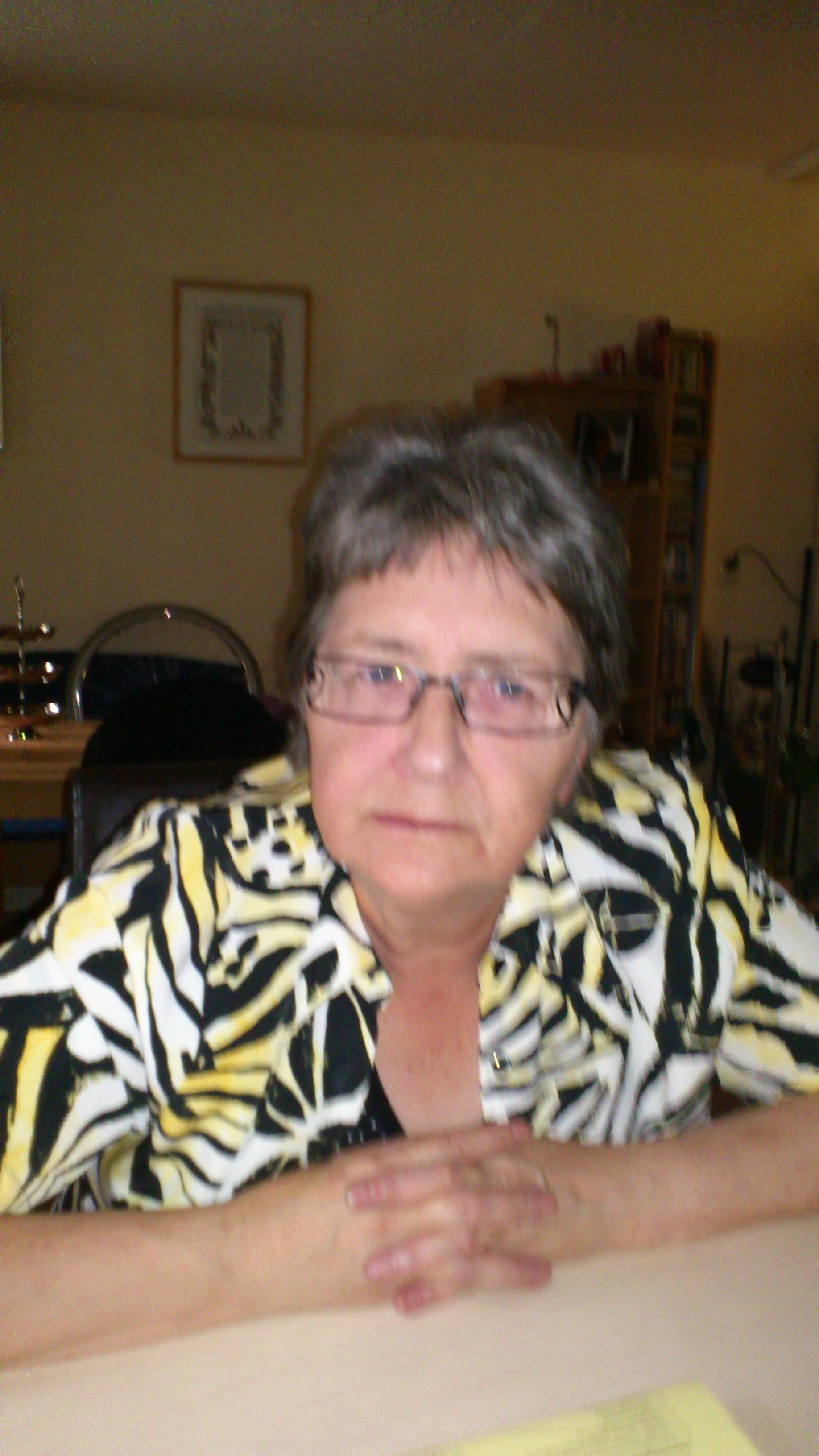Gallery foto
