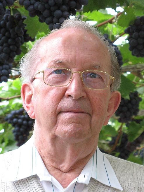 Gerardus Antonius van der Meijs