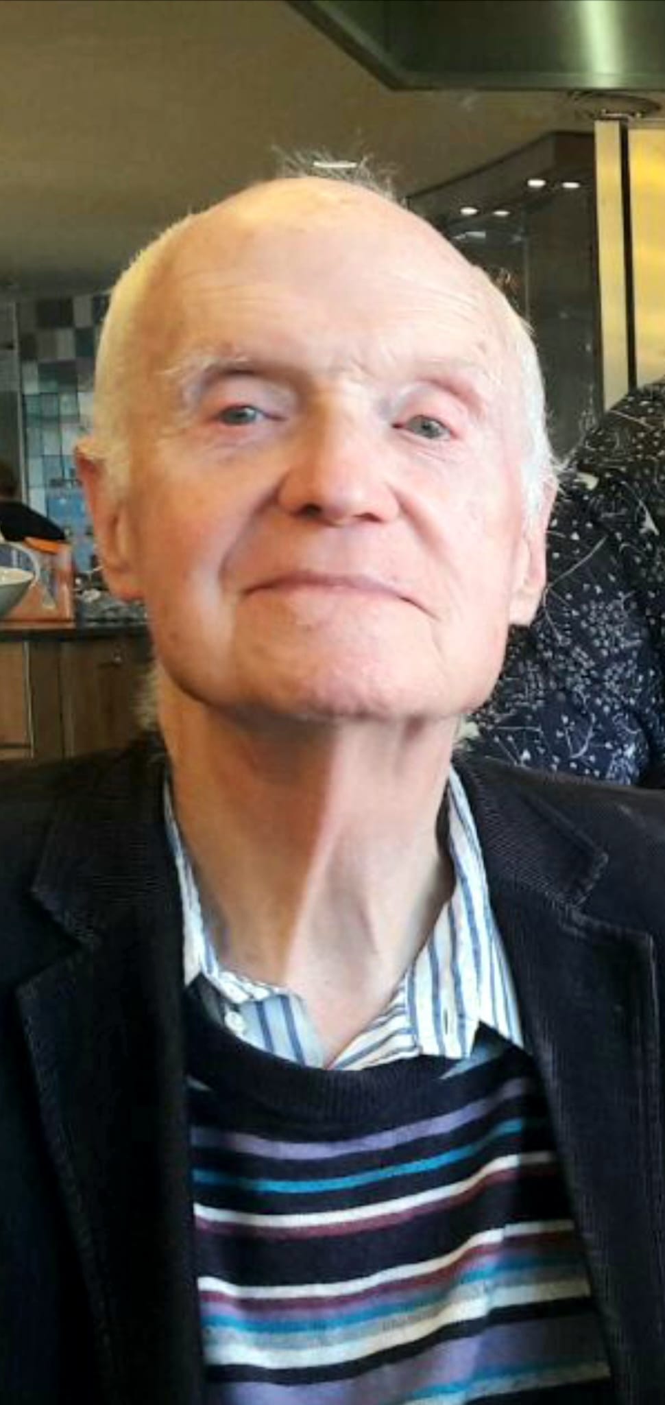 Ruut van den Bree