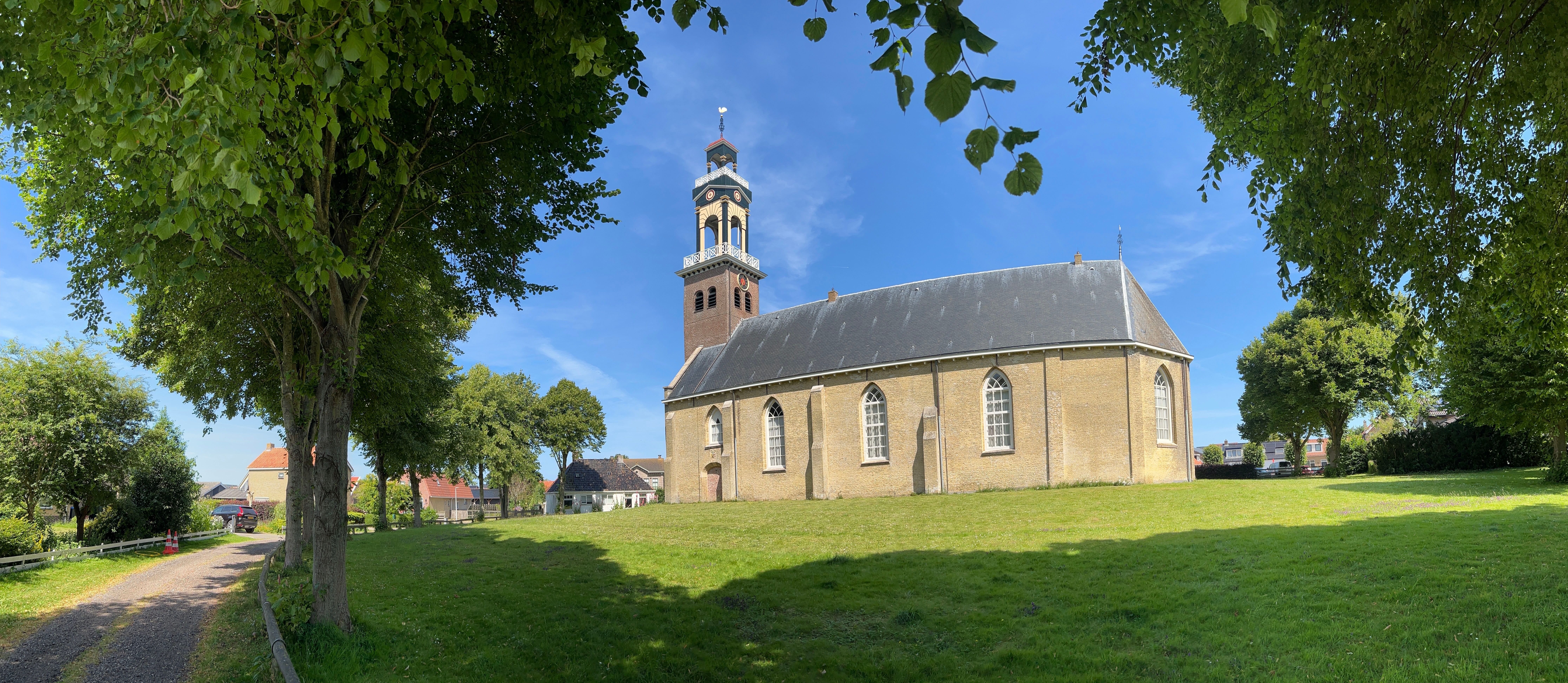 Arum