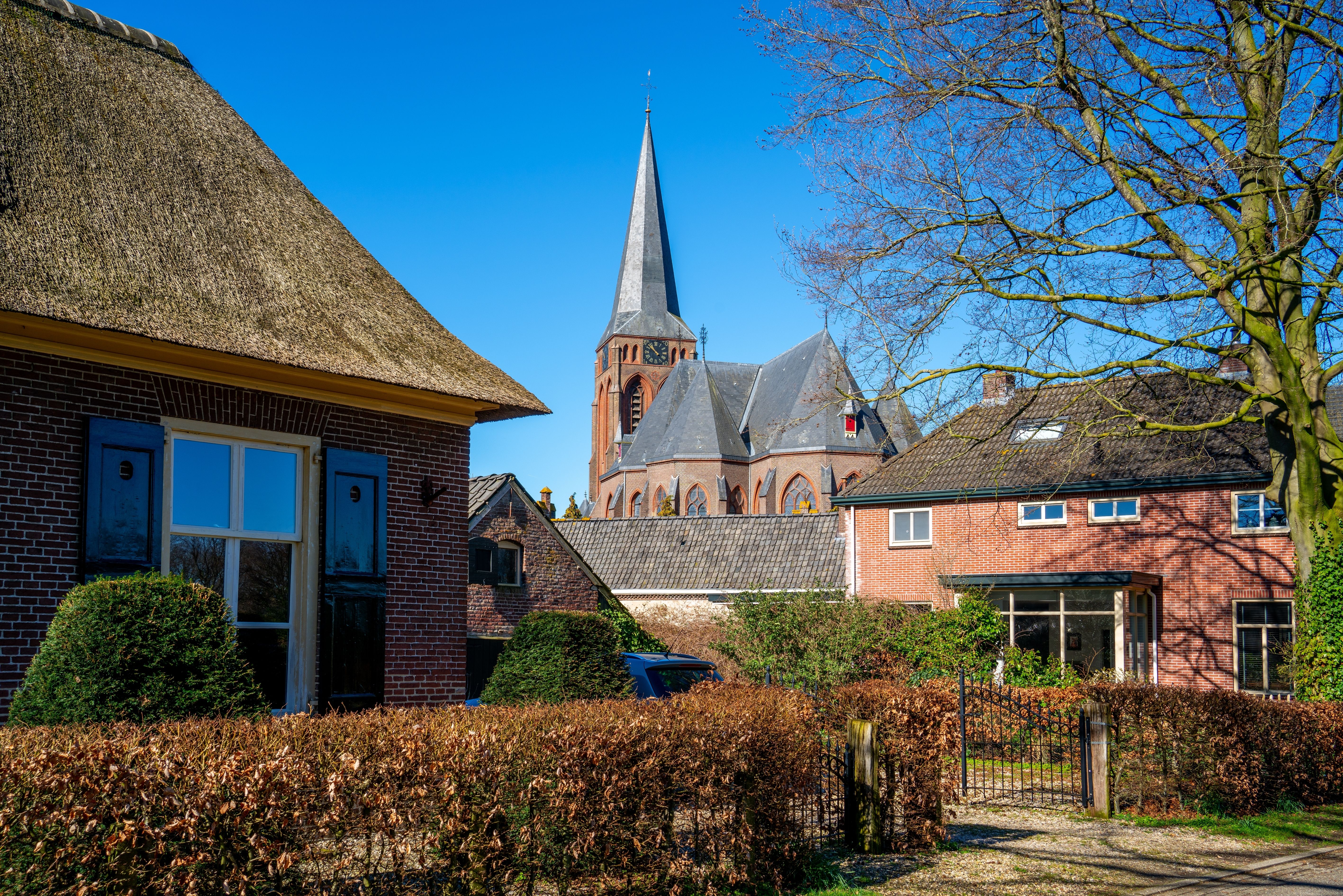 Baak