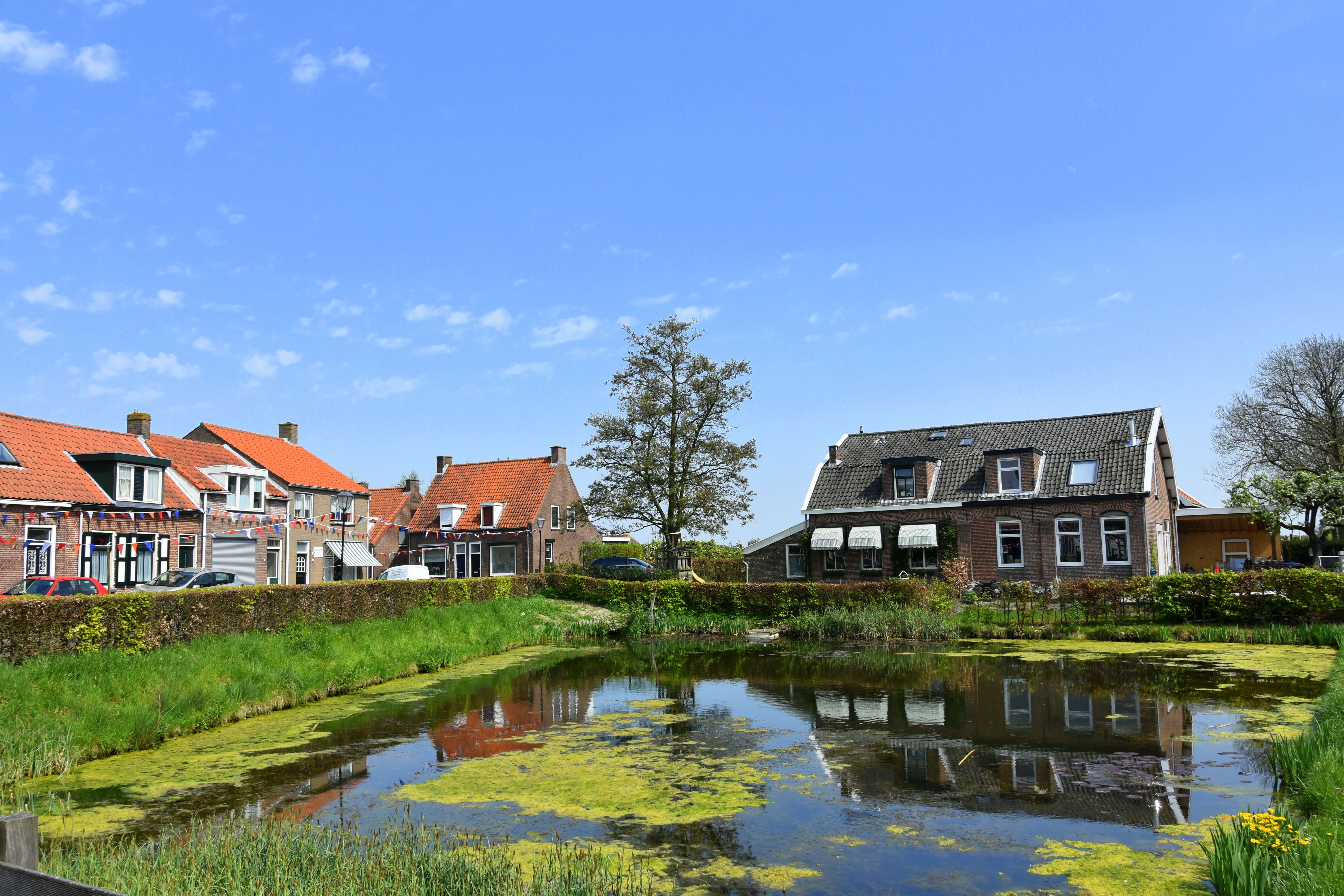 Baarland