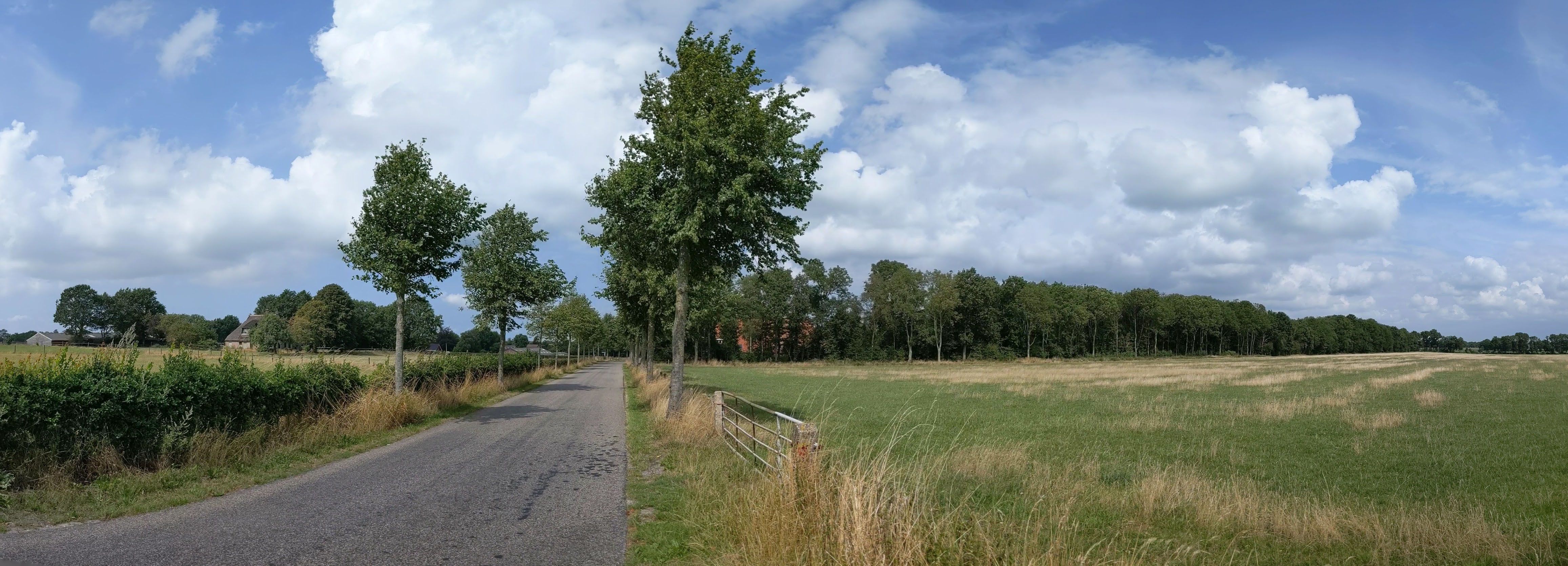 Bakhuizen