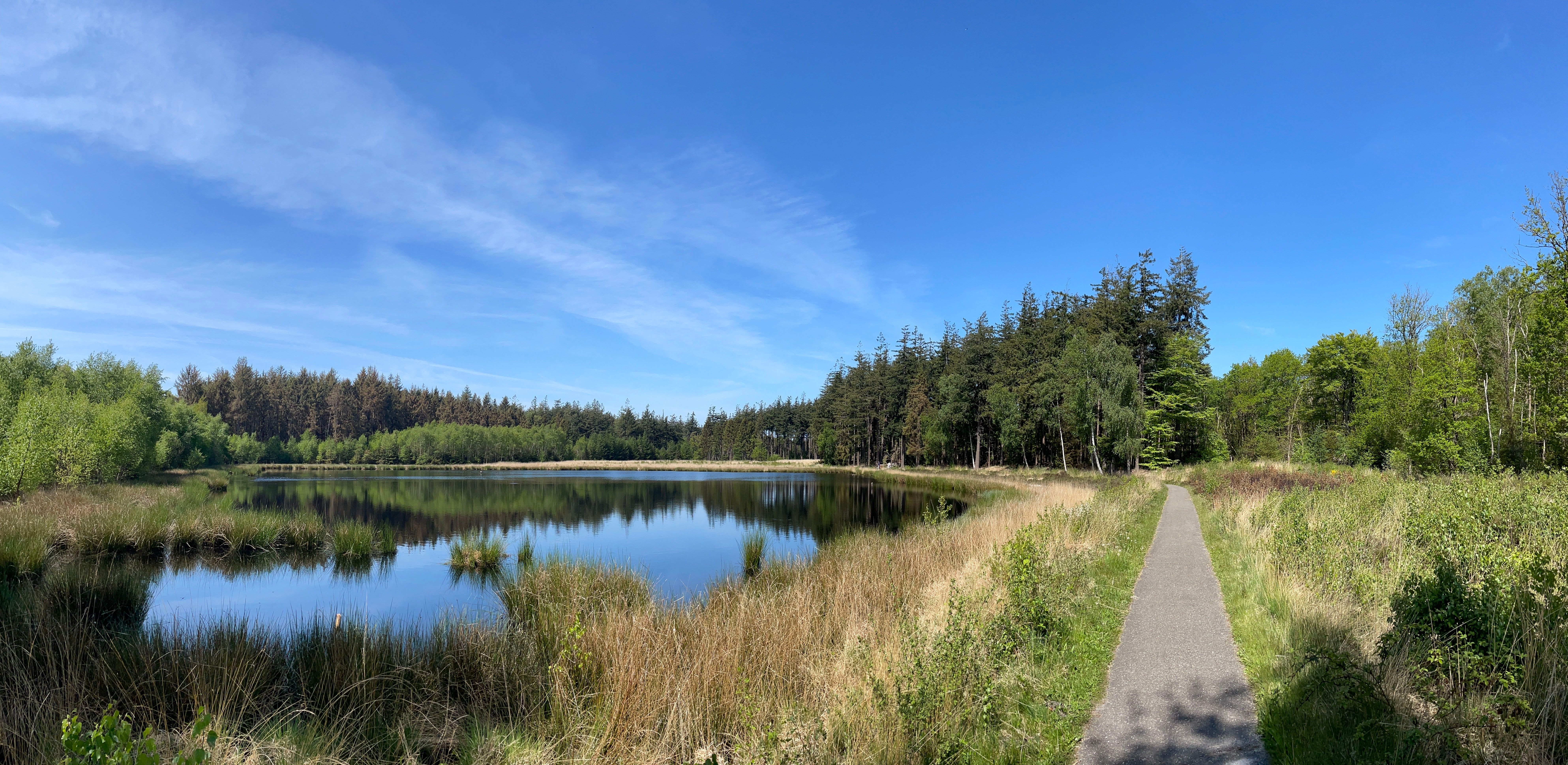 Bakkeveen