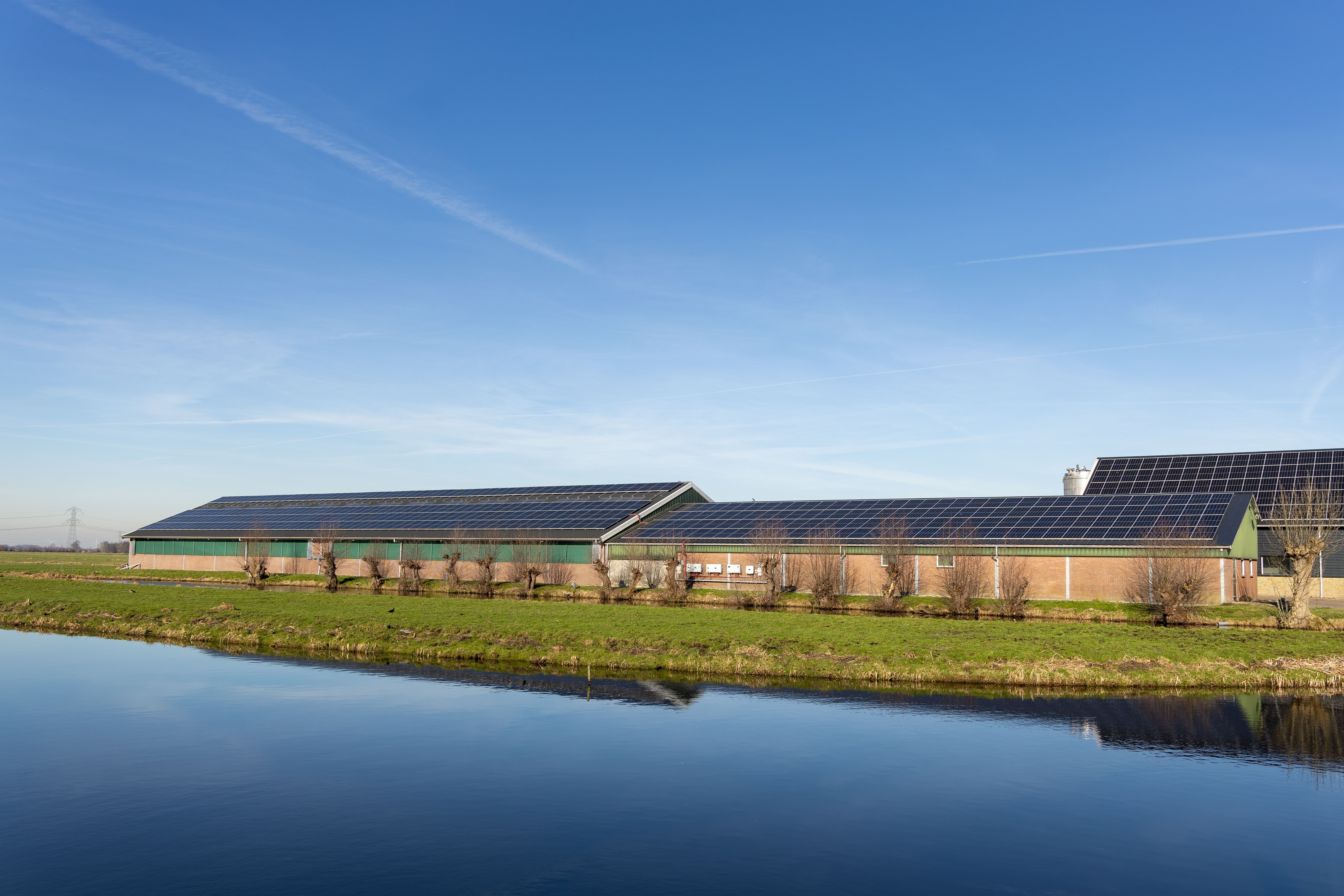 Berkenwoude