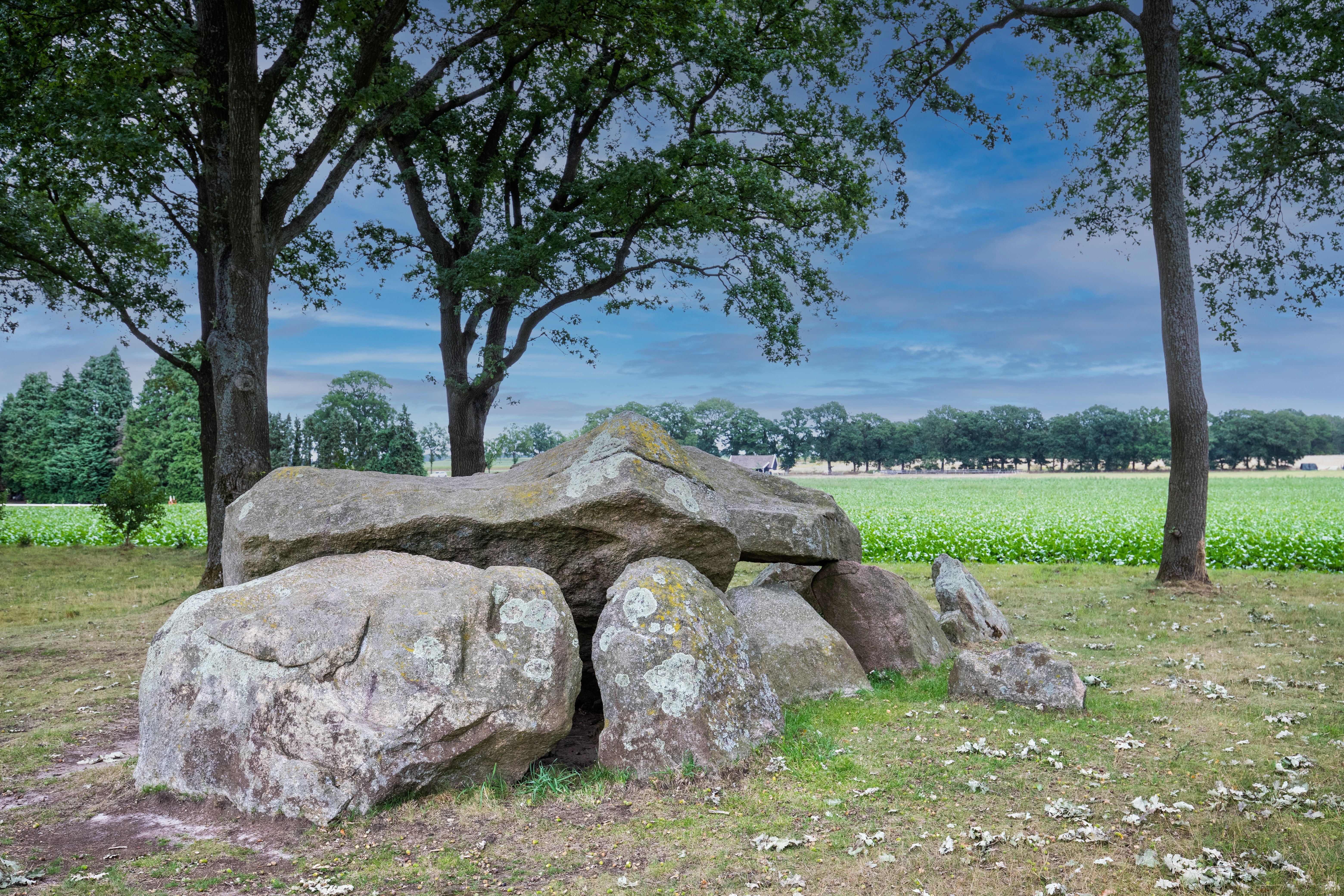 Buinen