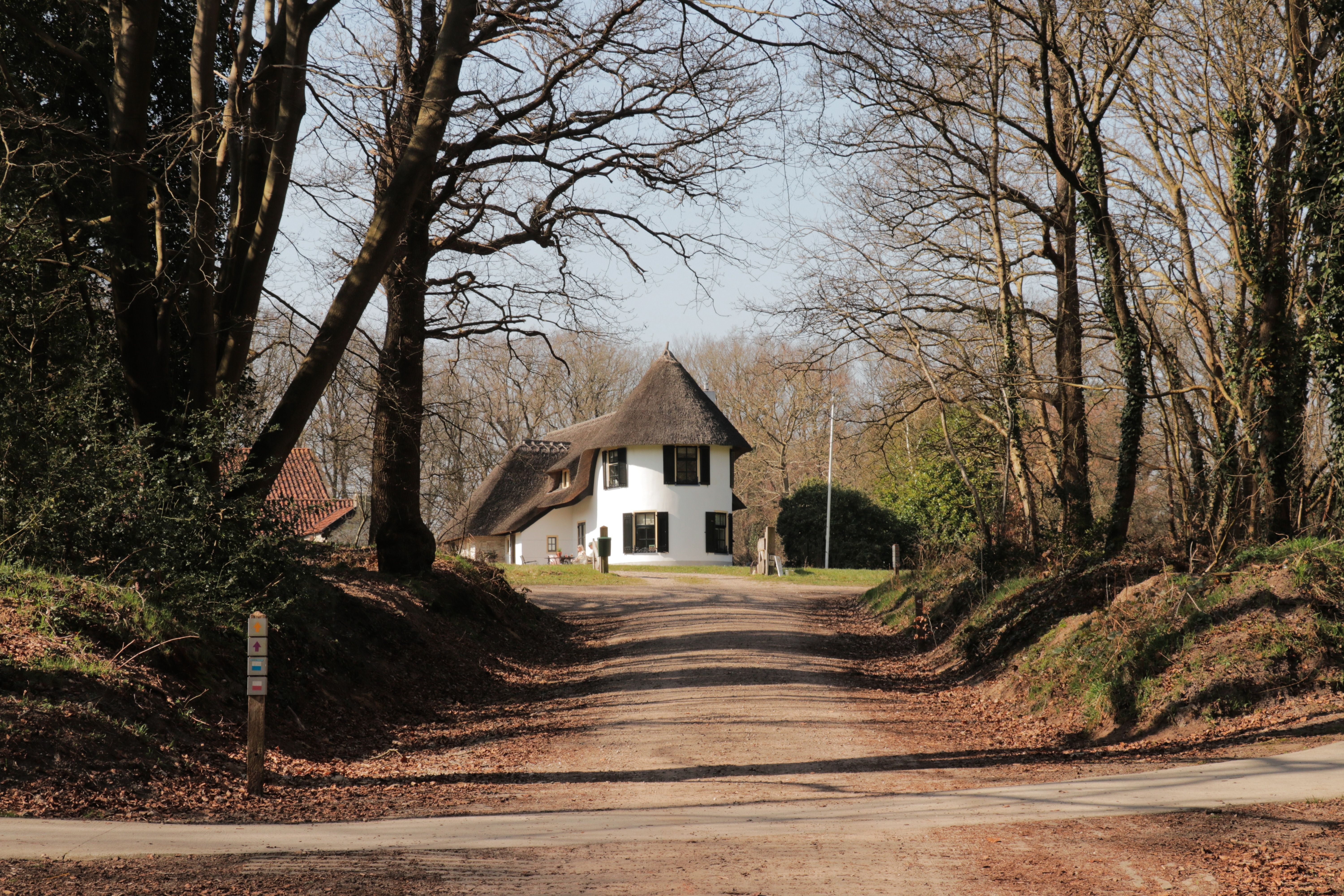 De Bult