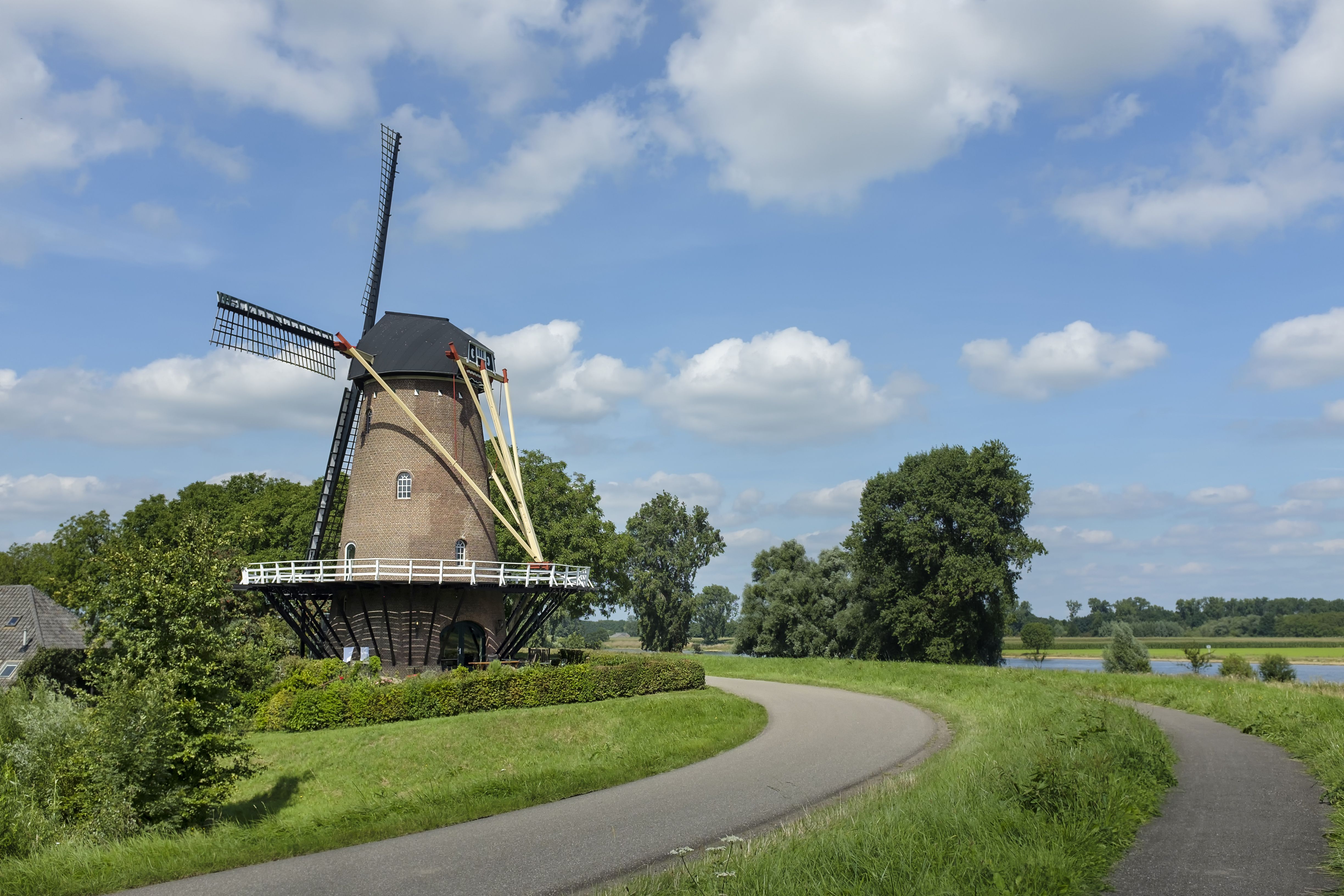 Dieden