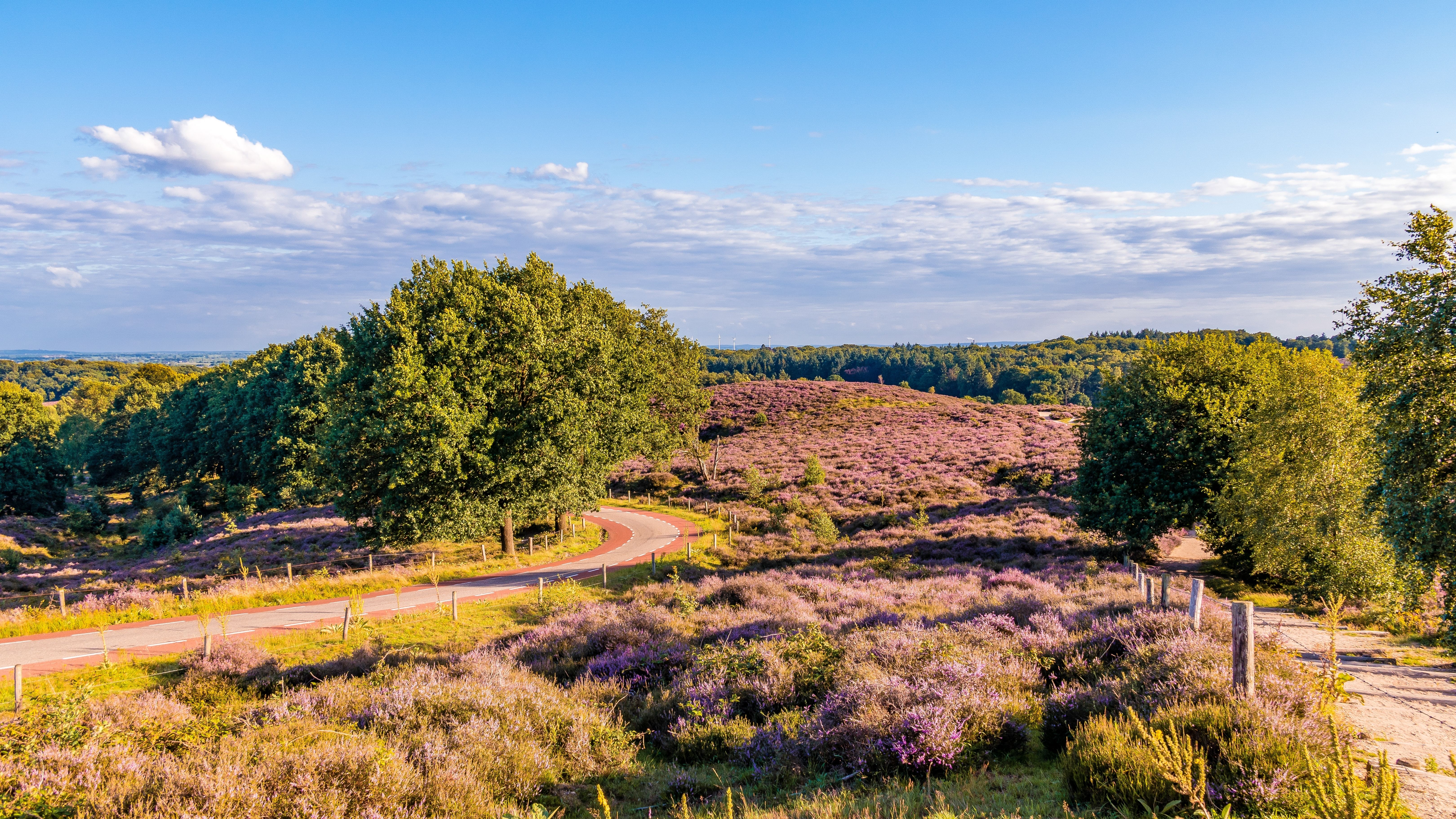 Monument Dieren