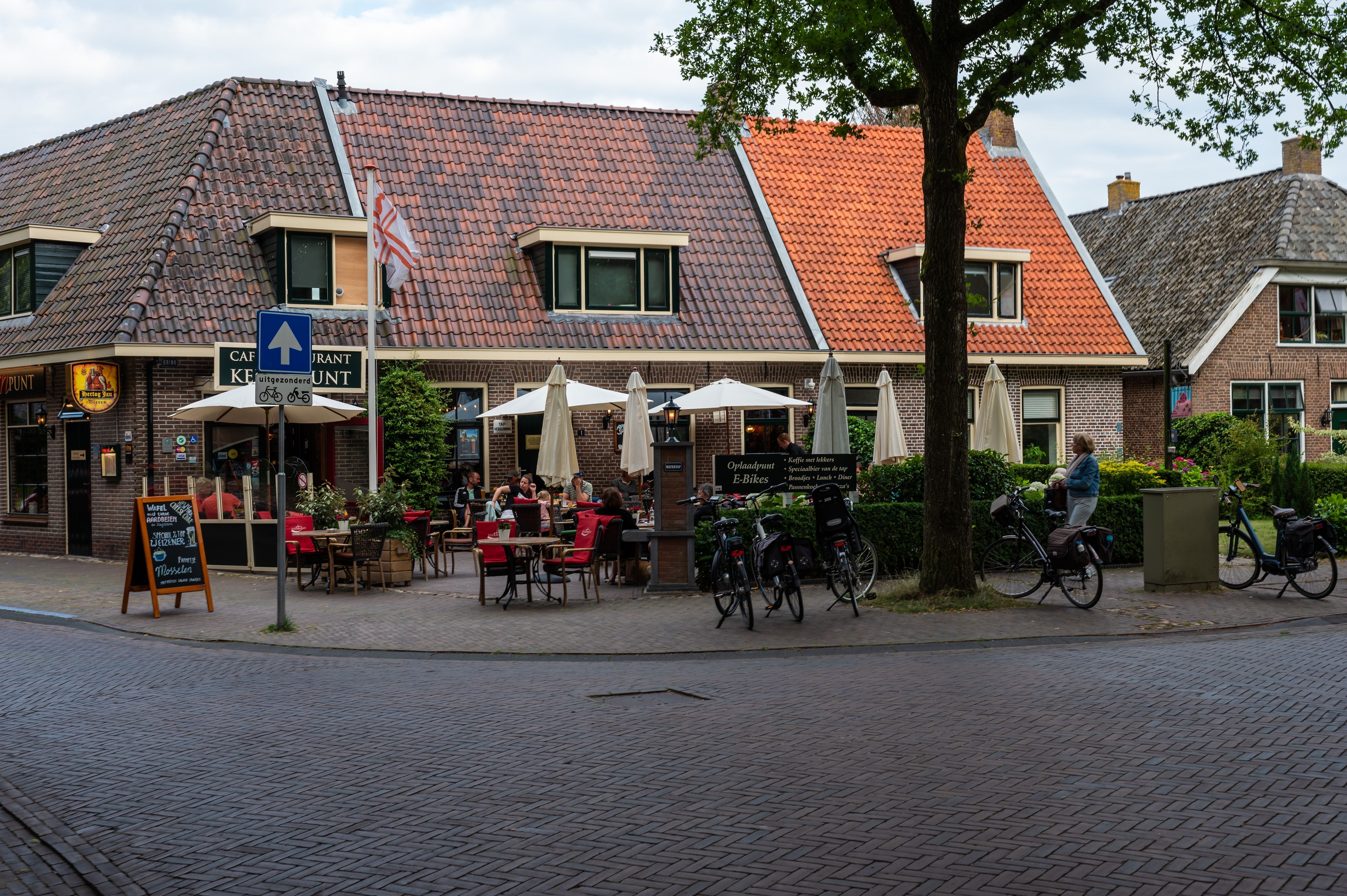 Diever